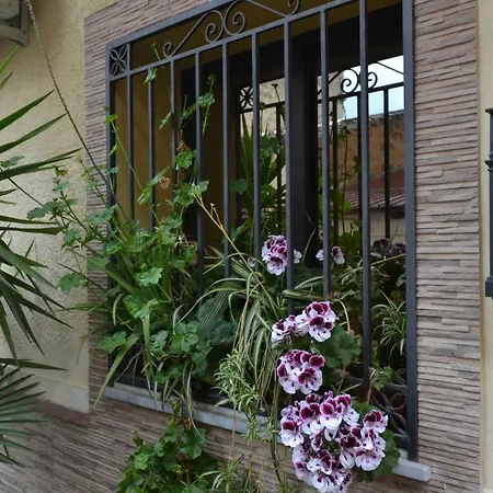 Apartment Jolly House Bolognetta